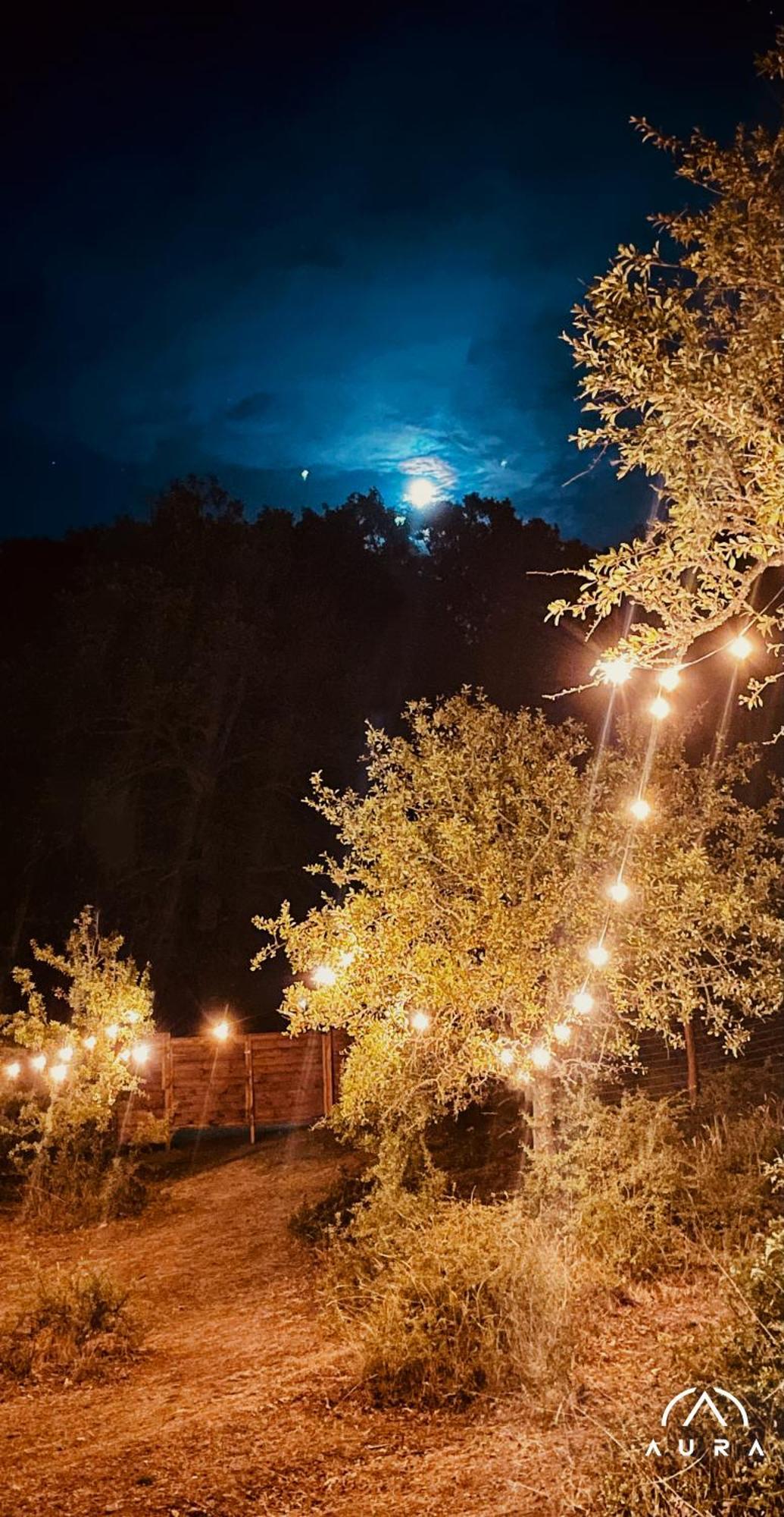 Hotel Aura - Glamping Experience Accettura Esterno foto