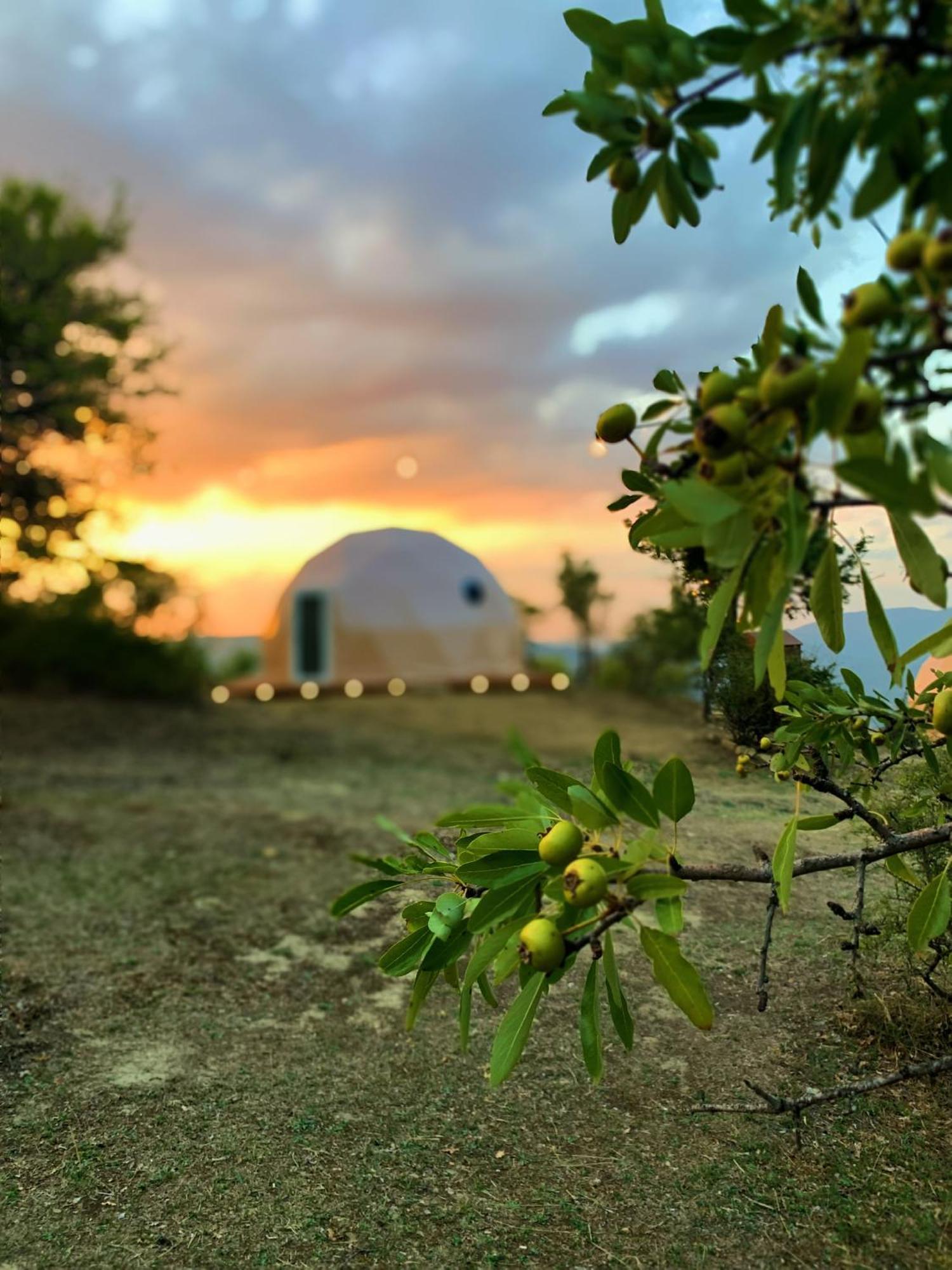Hotel Aura - Glamping Experience Accettura Esterno foto